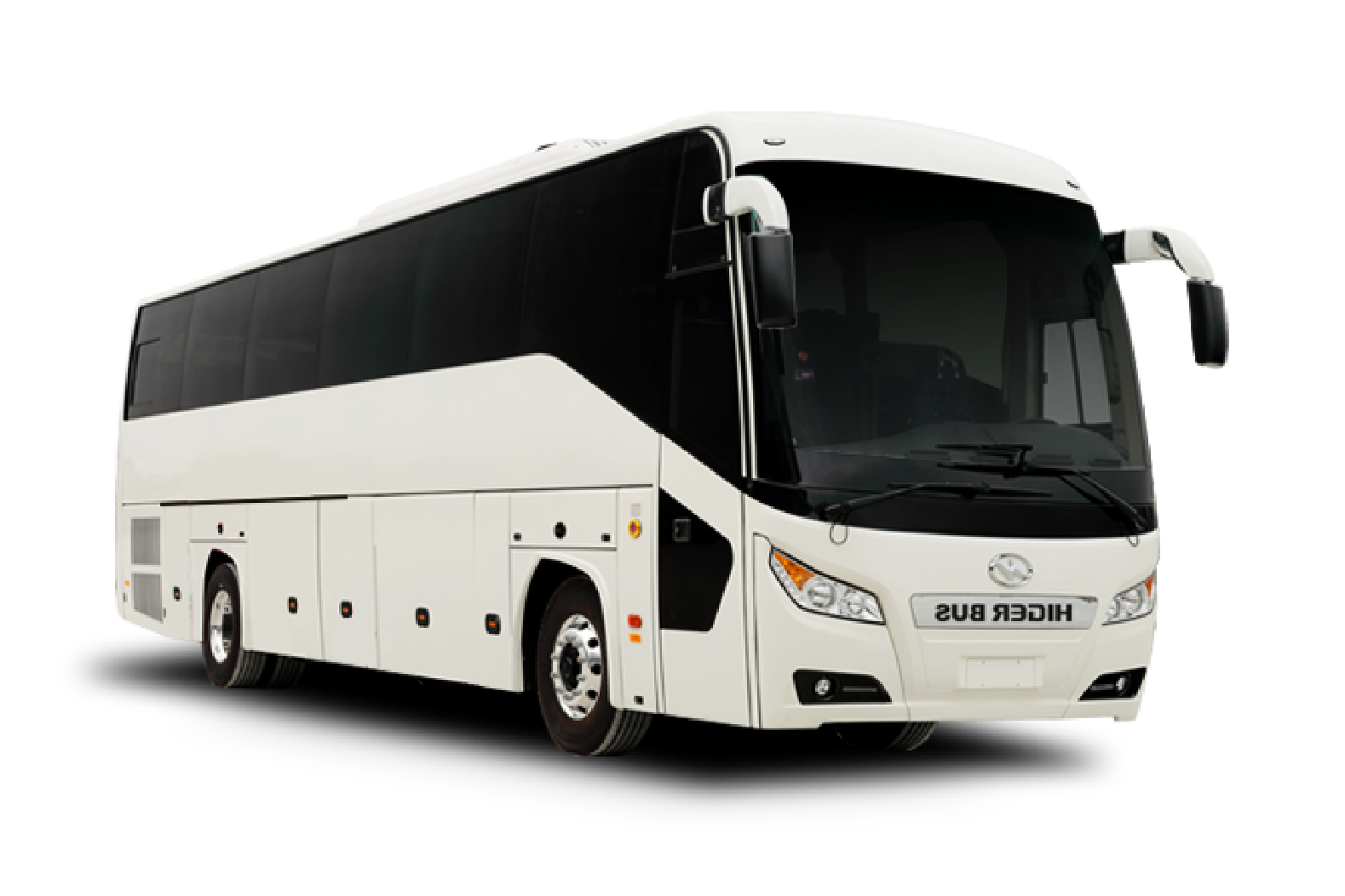 Bus turistico